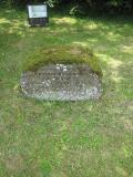 image of grave number 419009